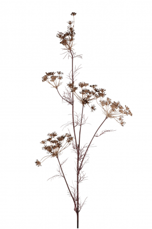 SALE % - Crenguta artificiala Dill, Fibre artificiale, Maro, 122 cm