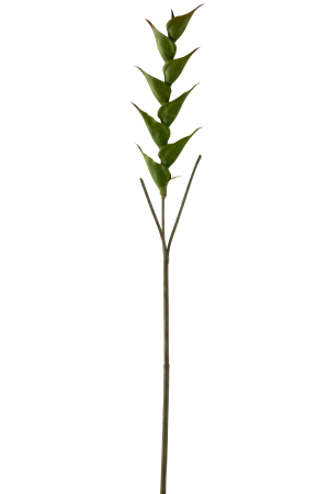 SALE % - Crenguta artificiala, Plastic, Verde, 16x3x141 cm