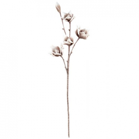 Crenguta cu 5 flori Lagarto, spuma, crem/maro, 115 cm [1]