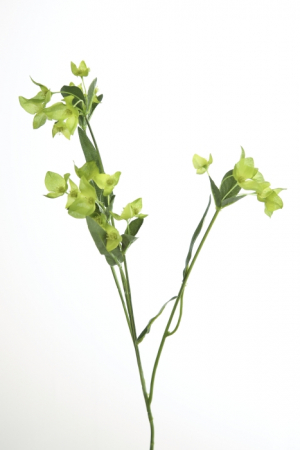 IN STOC - Crenguta cu flori artificiale Sierra, Fibre artificiale, Verde, 64 cm