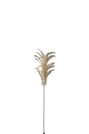 Accesorii - Crenguta cu pene, Pene, Bej, 5x4x80 cm