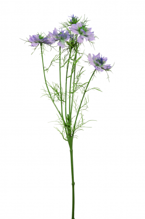 SALE % - Crenguta floare artificiala NIGELLA, Fibre sintetice, Crem/Mov, 66 cm
