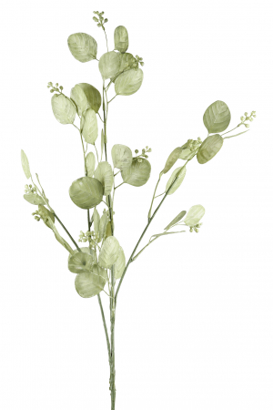 IN STOC - Crenguta floare artificiala Silberblatt, Fibre artificiale, Verde, 76 cm