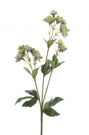 Plante artificiale si uscate - Crenguta flori artificiale Astrantia, Fibre artificiale, Verde/Mov, 5x44 cm