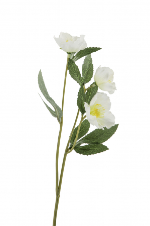 IN STOC - Crenguta flori artificiale Hellebores, Fibre artificiale, Verde/Alb, 35.50 cm