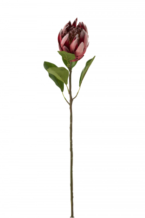 SALE % - Crenguta artificiala, Plastic, Rosu, 21x10x67 cm