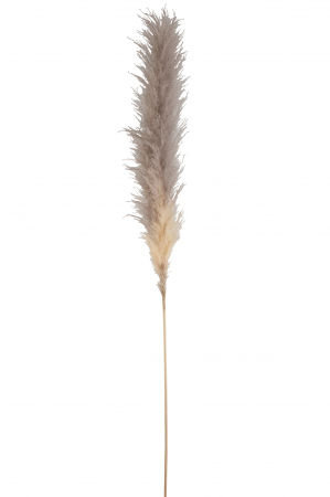SALE % - Crenguta, Rachita/Bambus, Natural, 12x3x170 cm