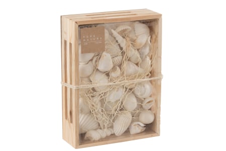 SALE % - Cutie cu cochilii, Alb