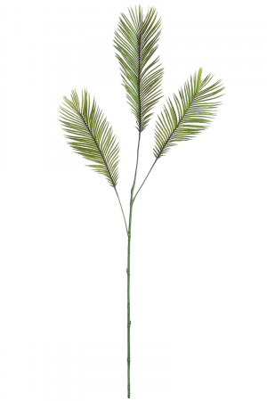 SALE % - Deco frunza palmier, Verde