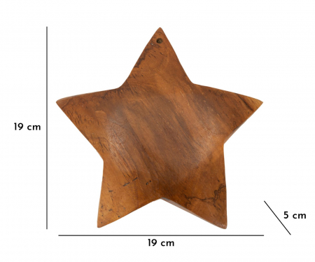 Décor, Bintang din tec reciclat cmø19x5 (piesa unica) [9]