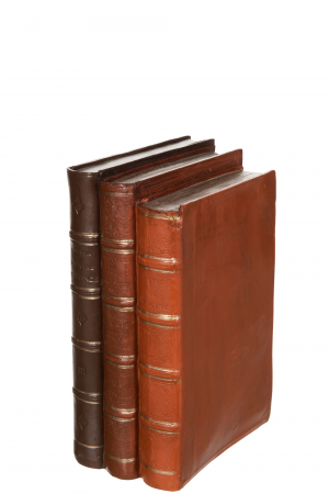 Accesorii - Decoratiune carti, Compozit, Maro, 19.5x12.5x27.5 cm