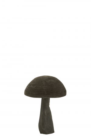 Decoratiuni - Decoratiune, Ciuperca din lemn, S