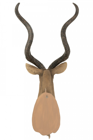 Decoratiune de perete Antelope Head, Rasina, Maro, 50x47x85 cm [2]