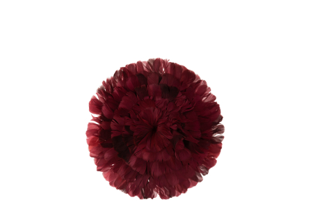 Accesorii - Decoratiune din pene, Pene, Bordeaux, 39x2x39 cm