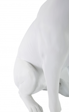 Decoratiune Dog, Rasina, Alb/Auriu, 33x20x12.5 cm [1]