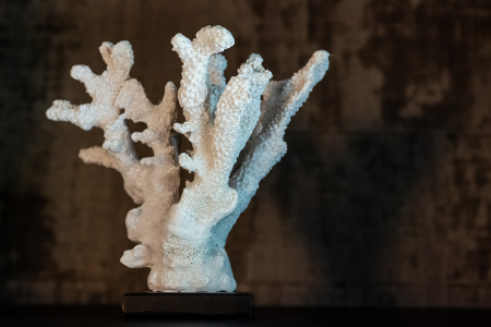 Toate produsele - Decoratiune Faux Coral Milan 13.5x19 cm