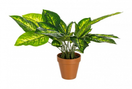 SALE % - DECORATIUNE PLANTA DIEFFENBACHIA CU GHIVECI 30FOND H45CM