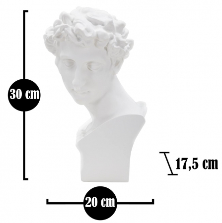 Decoratiune Roman Young, Rasina, Alb, 30x20x17.5 cm [5]