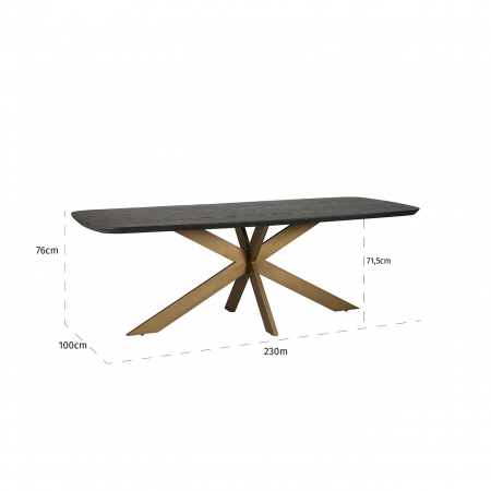 Masă de dining Cambon, 230 ovală (Cafea neagră), Dims: 76.0 x 230.0 x 100.0 cm [4]