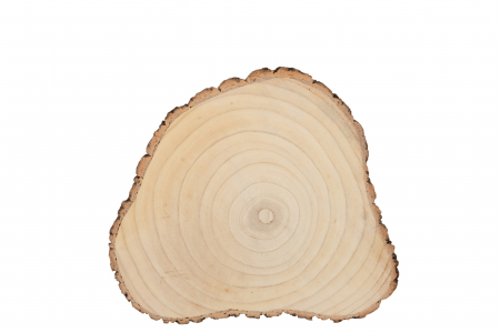 Disc lemn PAULOWNIA, Lemn, Natural, 40x34.5x3 cm [1]