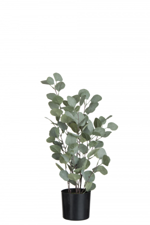 SALE % - Eucalipt artificial, Plastic, Verde, 15x15x60 cm