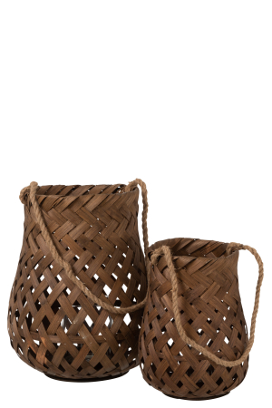 Felinar, Woven L [1]