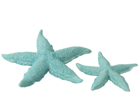 Figurina, STARFISH, L [1]