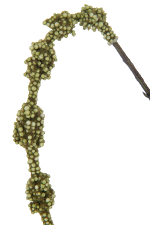 Floare artificiala [1]