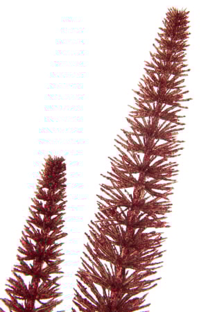 Floare artificiala [1]