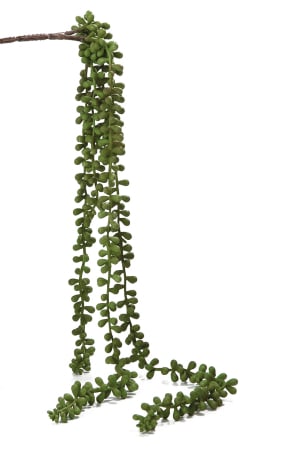 DECORATIUNI - Floare artificiala, Accessories Senecio, verde, rasina, 6 x 6 x 66 cm