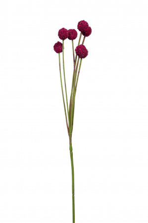SALE % - Floare artificiala CRASPEDIA, Fibre sintetice, Rosu inchis, 60 cm