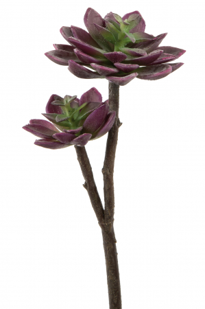 IN STOC - Floare artificiala Echeveria, Fibre sintetice, Verde/Mov, 29 cm