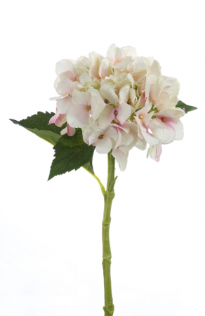 SALE % - Floare artificiala hortensie Bella, Fibre artificiale, Crem/Roz, 48 cm