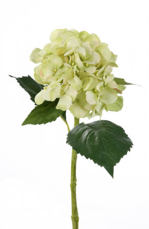 Plante artificiale si uscate - Floare artificiala hortensie Bella, Fibre artificiale, Verde deschis, 48 cm