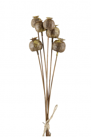 SALE % - Floare artificiala Mohnkapsel, Fibre artificiale, Maro, 6x67 cm