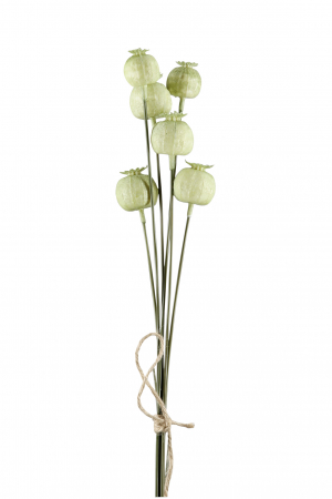 IN STOC - Floare artificiala Mohnkapsel, Fibre artificiale, Verde, 6x67 cm
