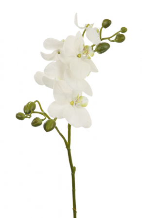 IN STOC - Floare artificiala orhidee, Fibre artificiale, Alb, 74 cm