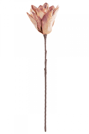 SALE % - Floare artificiala Salvador, Fibre sintetice, Roz pal, 19x19x67 cm