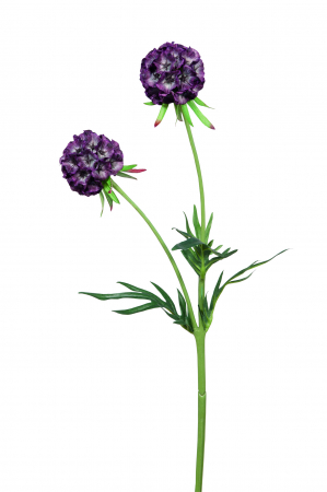 SALE % - Floare artificiala SCABIOSA, Fibre sintetice, Verde/Mov inchis, 55 cm