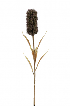 Plante artificiale si uscate - Floare artificiala Schilfkolben, Fibre artificiale, Maro, 5x77 cm