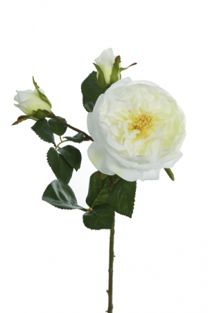 IN STOC - Floare artificiala trandafir Cecile, Fibre artificiale, Alb/Crem, 56 cm