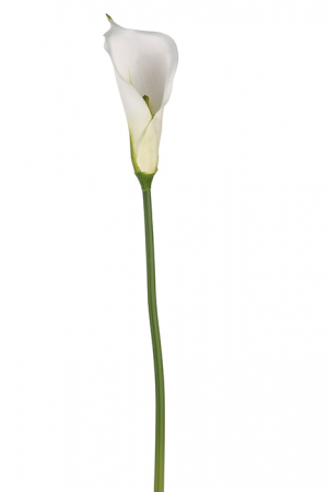 IN STOC - Floare CALLA, fibre sintetice, 74 cm