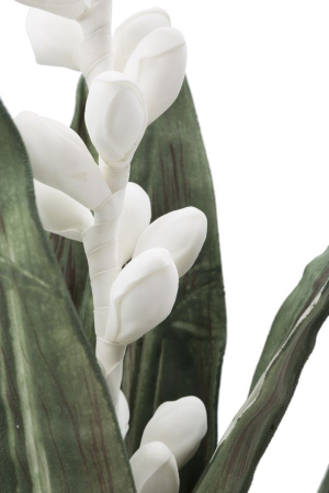 Floare de aloe alba cm ø 23x93 [2]
