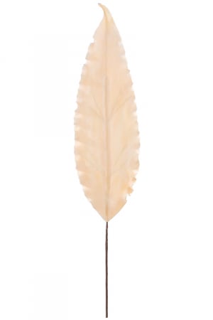 Floare decorativa spuma, Leaf [1]