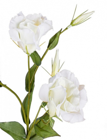 Floare decorativa, tesatura, polietilena si sarma de fier, alb, 76cm [1]