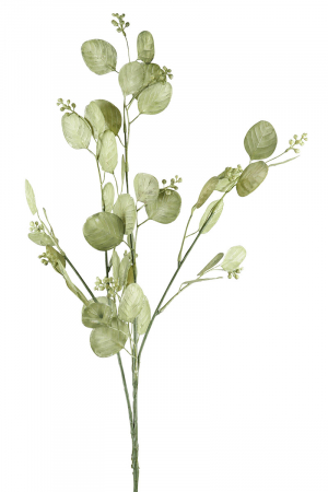 Floare, Frunza argintie, Sintetica, verde, PU 24, H. 76 cm [1]