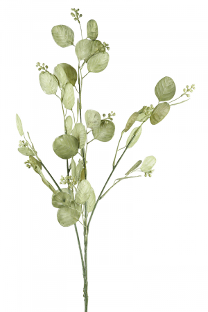 DECORATIUNI - Floare, Frunza argintie, Sintetica, verde, PU 24, H. 76 cm