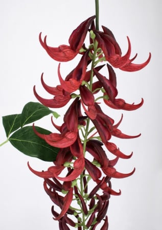 FLOARE KAYLIN ROSIE H142CM [1]