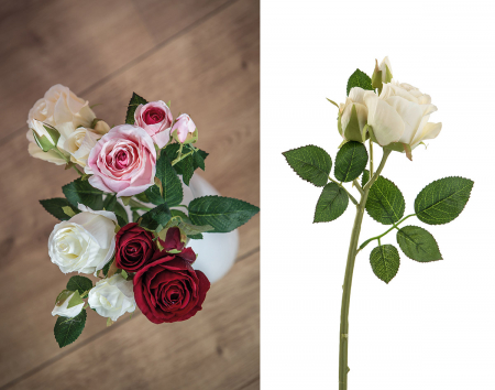 Floare, trandafir, Lilly, Sintetic, crem, PU 24, H. 40 cm [1]