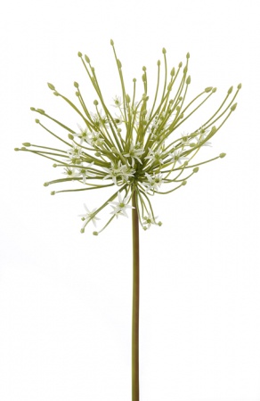 Floare artificiala TUBEROSA, fibre sintetice, 116 cm [1]